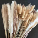 Buquê de Capim dos Pampas Natural para Decoração de Ambientes Offertaza
