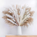 Buquê de Capim dos Pampas Natural para Decoração de Ambientes Offertaza
