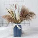 Buquê de Capim dos Pampas Natural para Decoração de Ambientes Offertaza