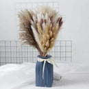 Buquê de Capim dos Pampas Natural para Decoração de Ambientes Offertaza