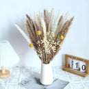 Buquê de Capim dos Pampas Natural para Decoração de Ambientes Offertaza