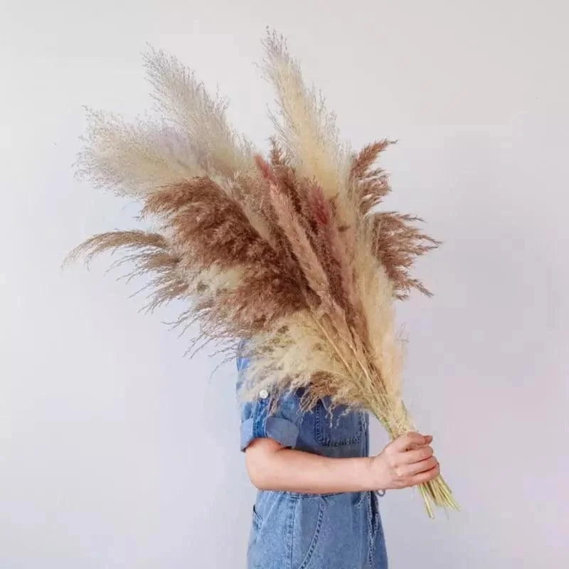 Buquê de Capim dos Pampas Natural para Decoração de Ambientes Offertaza