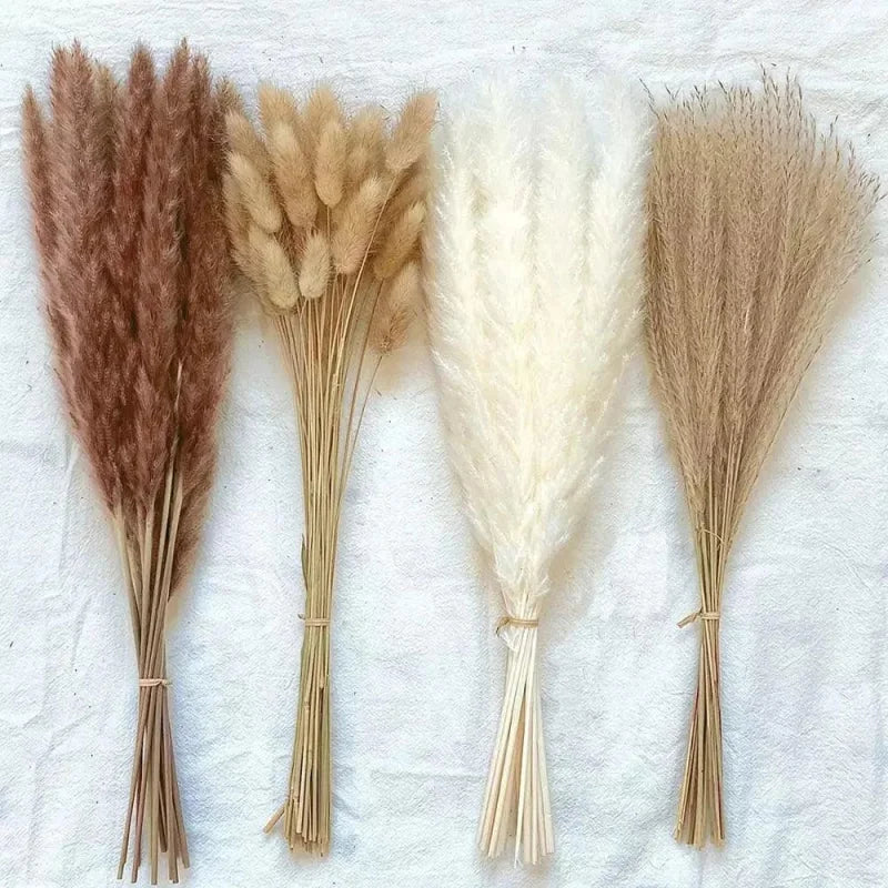 Buquê de Capim dos Pampas Natural para Decoração de Ambientes Offertaza