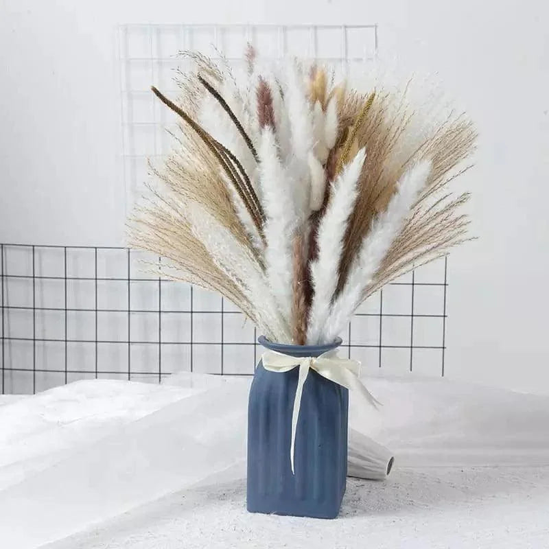 Buquê de Capim dos Pampas Natural para Decoração de Ambientes Offertaza