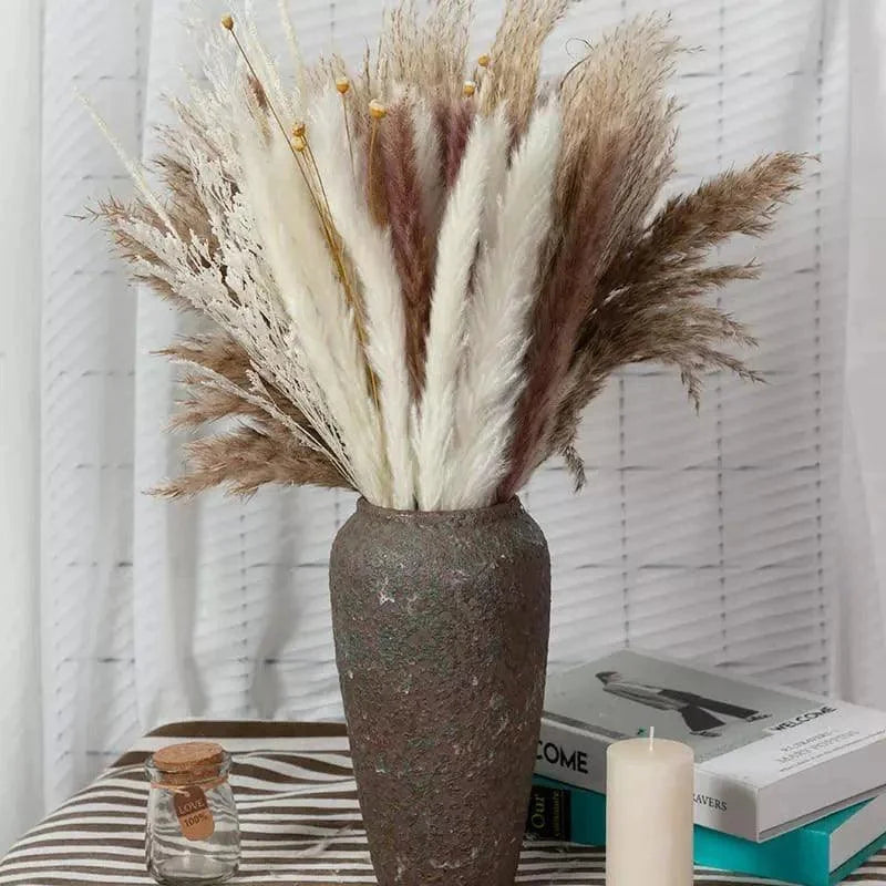 Buquê de Capim dos Pampas Natural para Decoração de Ambientes Offertaza