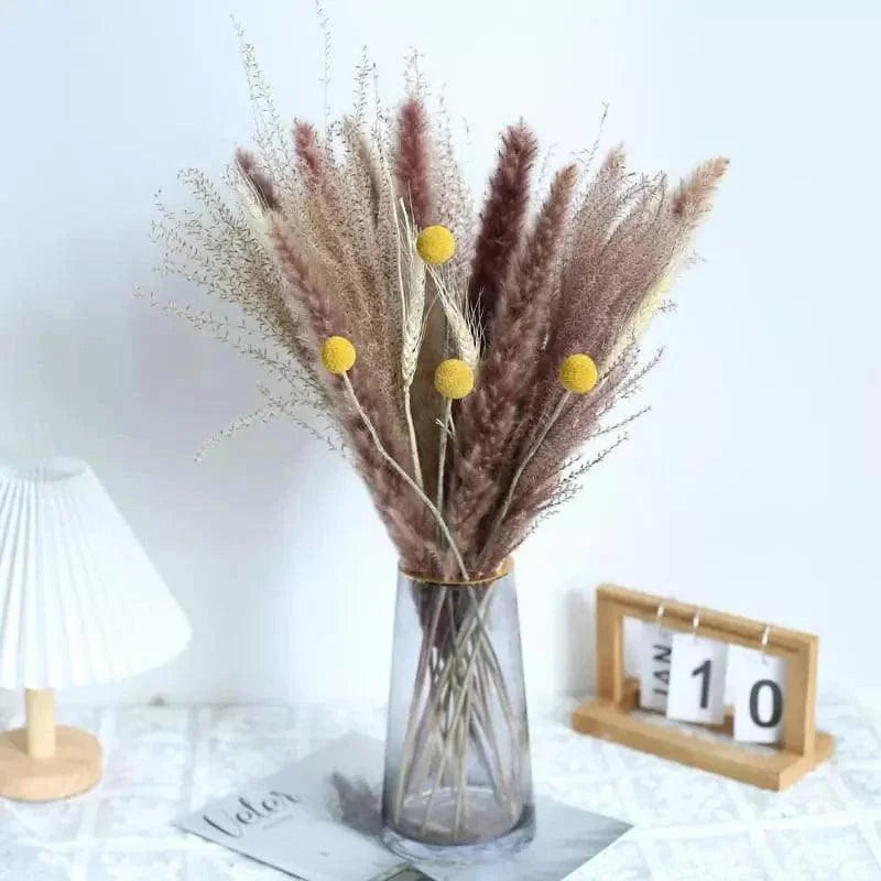 Buquê de Capim dos Pampas Natural para Decoração de Ambientes Offertaza