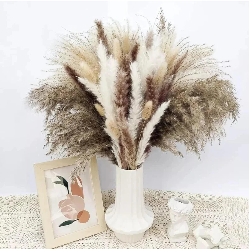 Buquê de Capim dos Pampas Natural para Decoração de Ambientes Offertaza