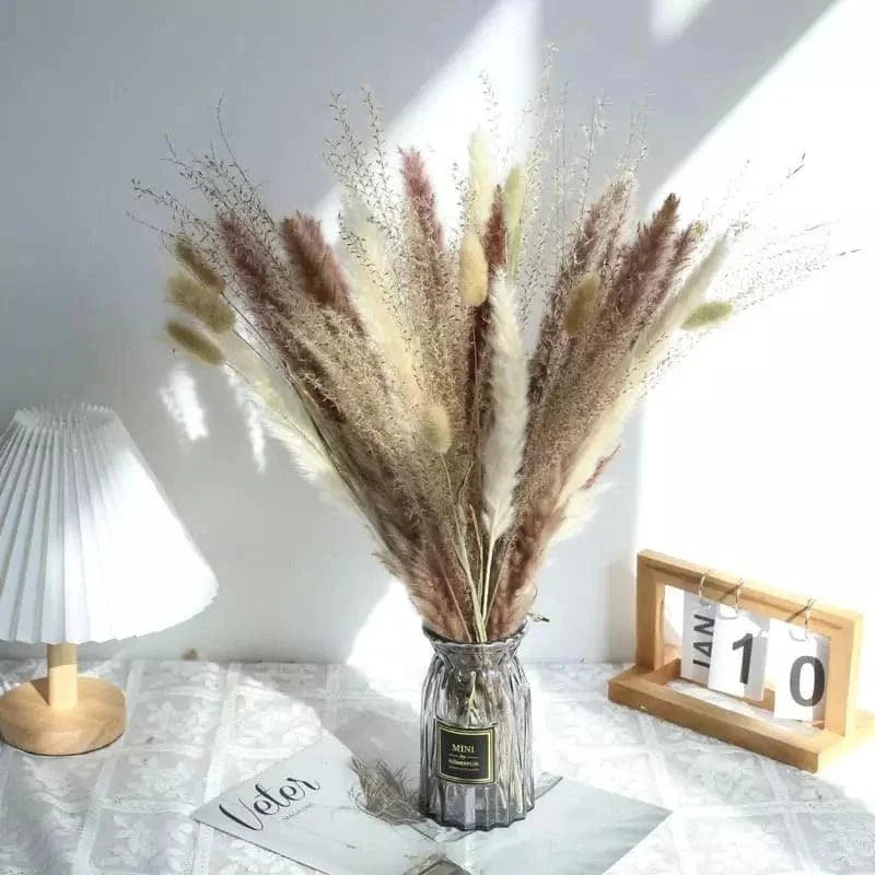 Buquê de Capim dos Pampas Natural para Decoração de Ambientes Offertaza