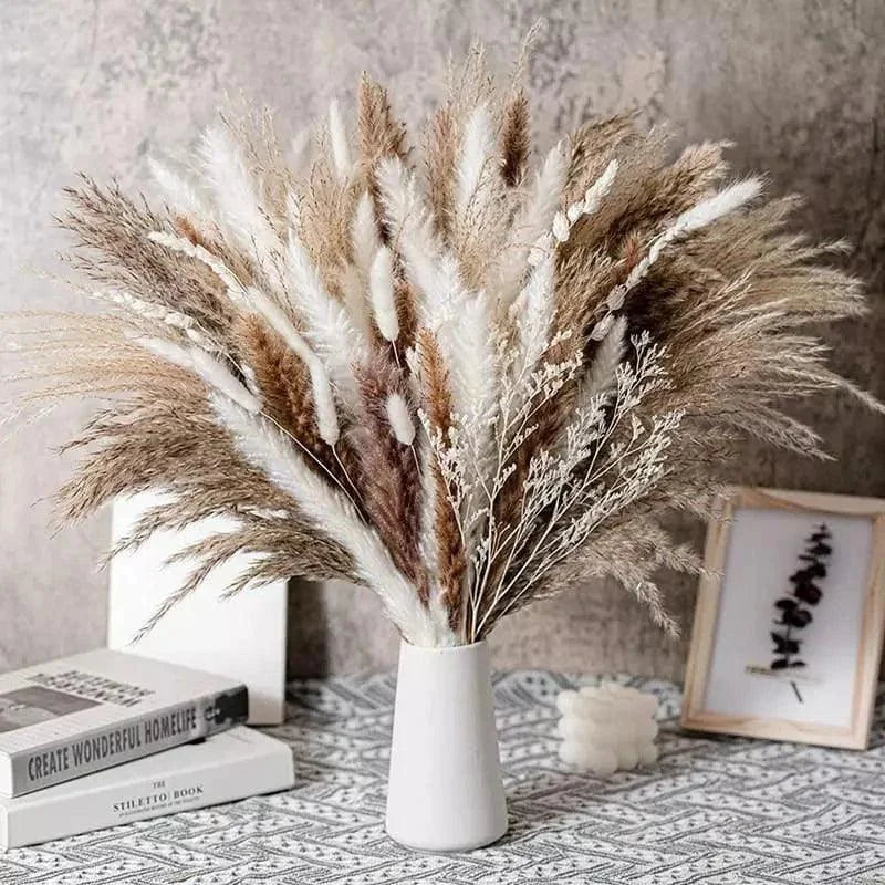 Buquê de Capim dos Pampas Natural para Decoração de Ambientes Offertaza