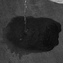 Tapete Antiderrapante Super Absorvente em Veludo Coral Offertaza